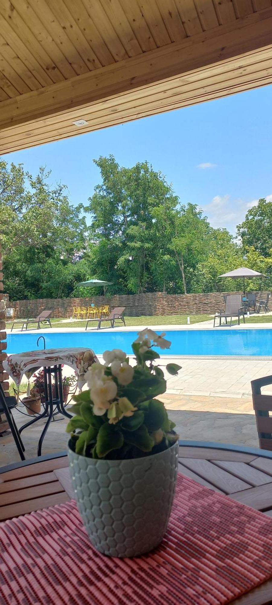 Bekas Wine Cellar Hotel Akhmeta Екстериор снимка